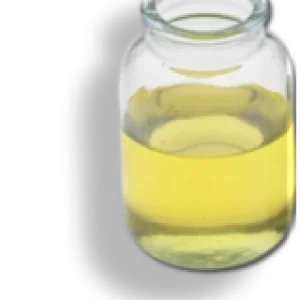 castor-oil-ip-intro
