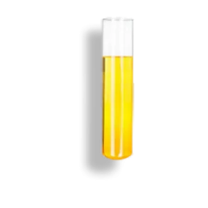 medium-chain-triglycerides-intro